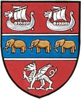 Differenced Arms for Ezra Langmead Larsen, grandson of Carl Anders Larsen