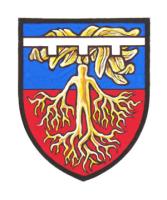 Differenced Arms for Ryan Christopher Lanoway, son of Travis Ryan Lanoway