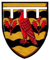 Differenced Arms for Lynn Vézina, daugther of André Vézina
