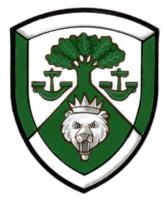 Differenced Arms for Patrick Evan Murphy MacEachen, son of Ian Lauchin MacEachen
