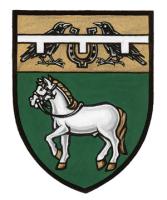 Differenced Arms for Lyle Timothy Crow Hackett, son of Timothy John Douglas Hackett