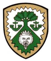 Differenced Arms for Emma Fay MacEachen Stothers, niece of Ian Lauchin MacEachen