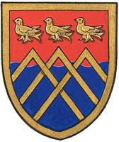 Differenced Arms for Matthew Andrew Cairns, son of Jeffrey Robert Cairns