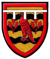 Diferenced Arms for Jean-Kristof Lapierre, grandson of André Vézina