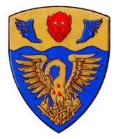 Differenced Arms for Tobie Desgreniers, son of Josée Bouchard