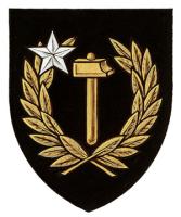 Differenced Arms for Pierre-Frédérick Duret, son of Louise Martel