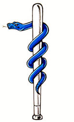 Insigne de Dale Palmer Insigne de Dale Palmer