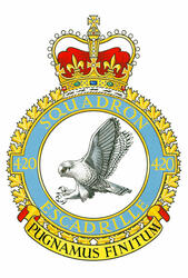 Badge of the 420 Combat Support Squadron Badge of the 420 Combat Support Squadron