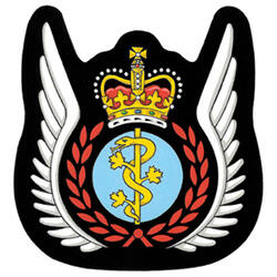 Insigne de l'évacuation aéromédicale des Forces armées canadiennes Insigne de l'évacuation aéromédicale des Forces armées canadiennes