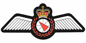 Badge of Airborne Warning and Control of Canadian Armed Forces