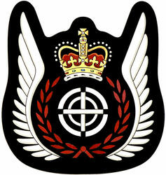 Badge of Tactical Aviation Door Gunner of the Canadian Armed Forces