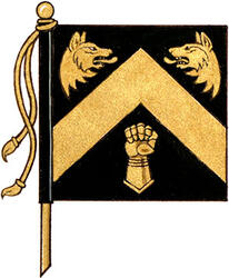 Drapeau de Hafiz Feezer Kassam