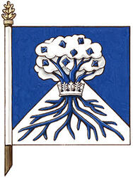 Drapeau de Braden Josiah Root-McCaig