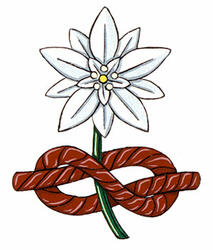 Insigne de Christian Stenner Insigne de Christian Stenner