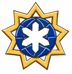 Insigne de Mehran Anvari