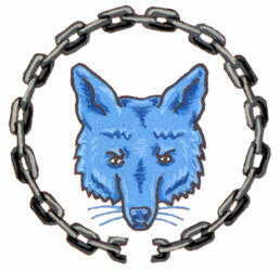 Insigne de Jesse Daniel Free