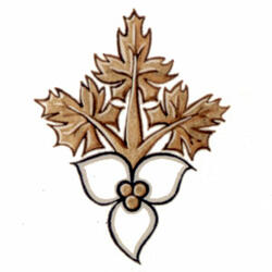 Badge of O Division (Toronto)