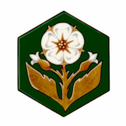 Insigne de la City of York