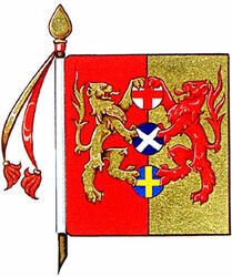 Flag of David Stewart Olson Flag of David Stewart Olson