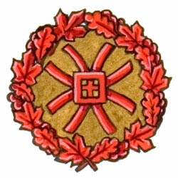 Badge of Craig James Halbländer