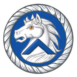 Badge of Derek Austin Tidd Badge of Derek Austin Tidd