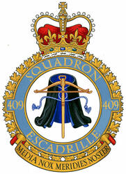 Insigne du 409e Escadron d'appui tactique