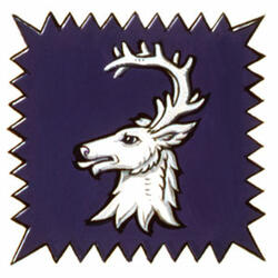 Badge of André Gozzo Badge of André Gozzo