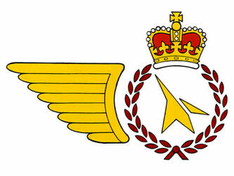 Insigne d'un Gestionnaire de la maintenance des aéronefs Insigne d'un Gestionnaire de la maintenance des aéronefs