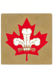 Insigne du prince Charles, prince de Galles Insigne du prince Charles, prince de Galles