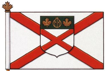 Flag of St. Patrick's High School,