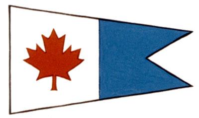 Flag of Office of the Director General of Fleet Systems
