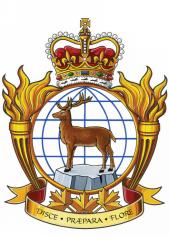 Badge of the Peace Support Training Centre
