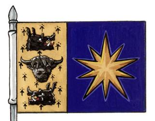 Flag of Turnbull School Ltd.