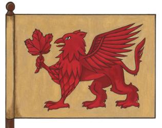 Flag of Edward Allan McNabb