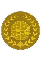 Space Insignia