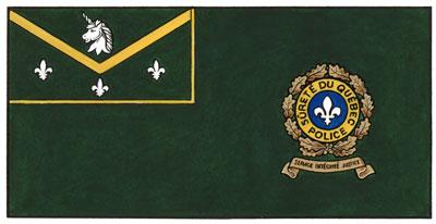 Flag for use by the Direction des normes professionnelles