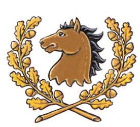 Badge of Ben Guenther Rempel