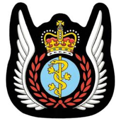 Badge of Aeromedical Evacuation of the Canadian Armed Forces