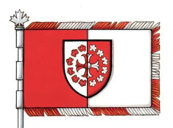 Flag of Victor Hugo Fernández Meyer