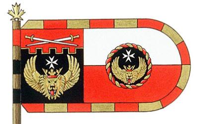 Flag of Alexander Moseanu