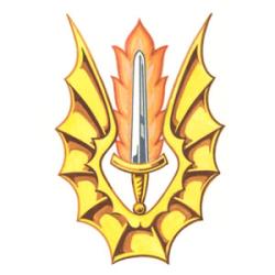 Badge of David Birtwistle