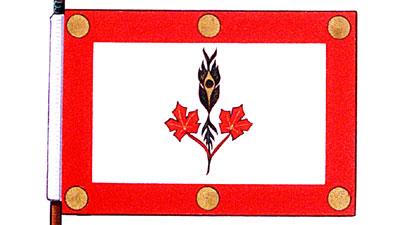Flag of Frederick Kasravi