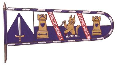 Flag of the Academy of European Medieval Martial Arts