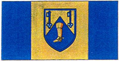 Flag of the Bata Shoe Museum Foundation