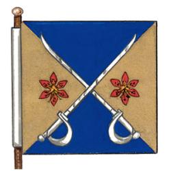 Flag of Thomas Edward Fleming