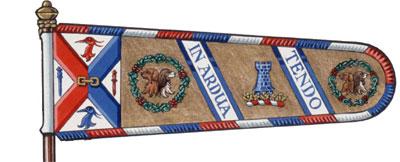 Flag of Thomas Ross Anthony Malcolm