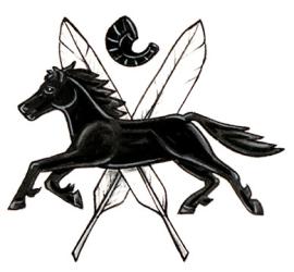 Badge of Ramanbir Singh Nayyar