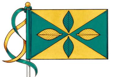 Flag of Elmwood School Incorporated