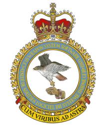 Badge of the CF-18 Weapon System Software Unit