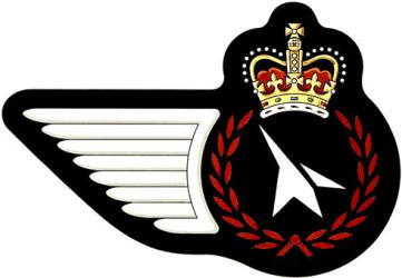 Badge of Aircraft Maintenance Superintendent